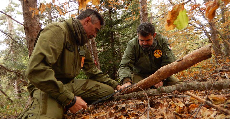 H.E.S.T. …a Survivalistic Experience!