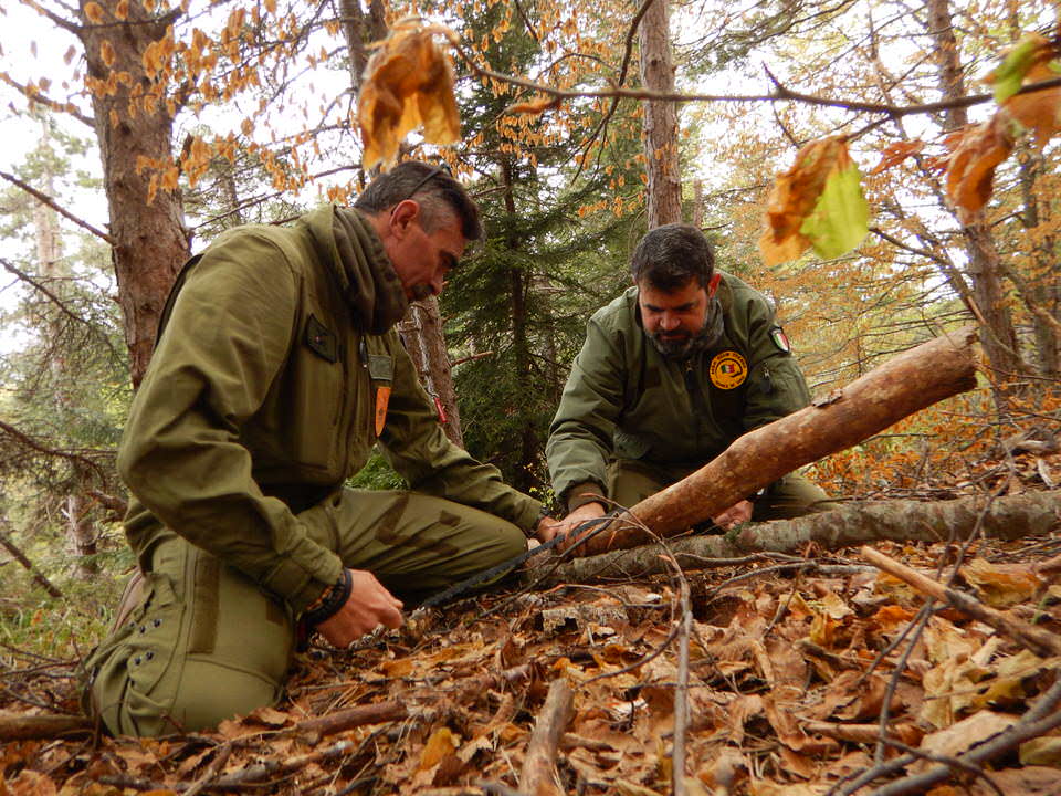 H.E.S.T. …a Survivalistic Experience!