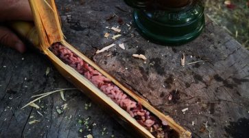 Explorer’s Bushcraft & Wild Wild Food