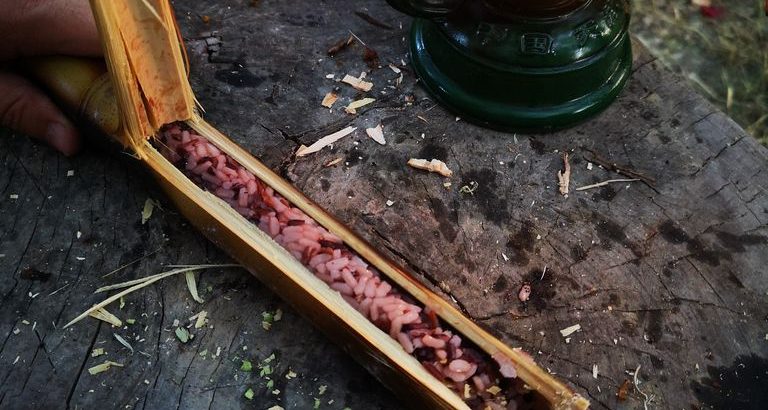 Explorer’s Bushcraft & Wild Wild Food